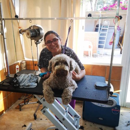 peluqueria perros Huelva corte de pelo